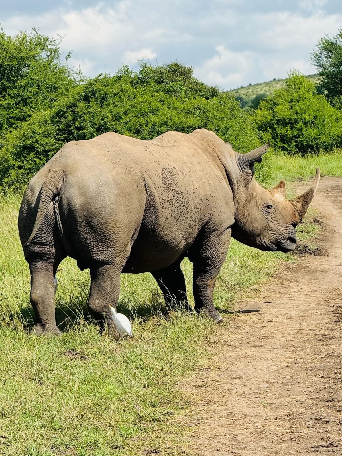 Maasai Mara in 3 Days: A Complete Safari Itinerary
