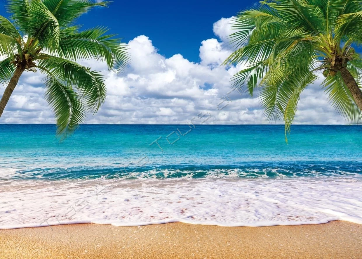 The Ultimate Kenya Coast Experience: Sun, Sea, and Swahili Culture